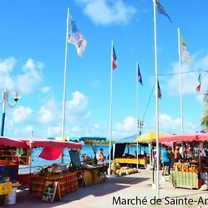 Titi Saint-Francois (Grande-Terre)
